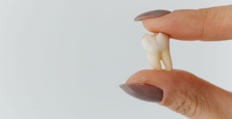 Lire la suite à propos de l’article Combien perd-on de dents de lait ? l&rsquo;âge et l&rsquo;ordre de la chute expliqués